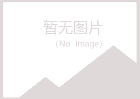 偃师碧琴冶炼有限公司